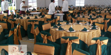 ¿Habrá universitarios de primera y de segunda?