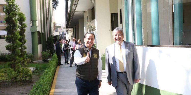 ¿Cuenta más un buen amigo que la legislación universitaria?