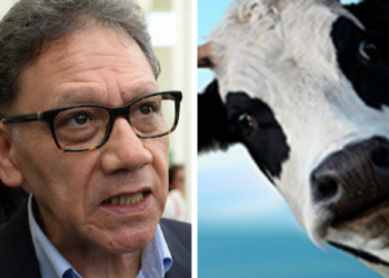 Falta de respeto a los universitarios: Pastor Tapia