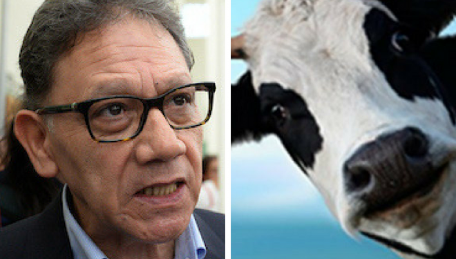 Falta de respeto a los universitarios: Pastor Tapia