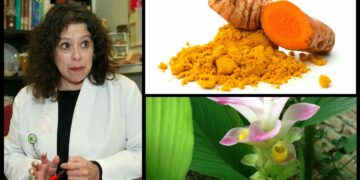 Cúrcuma, efectiva en la eliminación de células cancerígenas: Especialista del CICMED UAEM