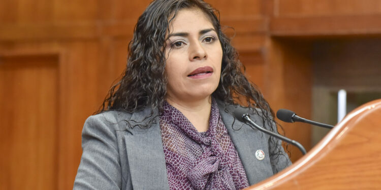 Usar el transporte público como botín político impide su desarrollo: Lourdes Garay