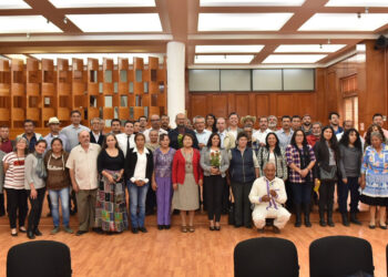 Derechos de la naturaleza, tema prioritario para morena: Max Correa