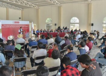 IMPULSARÁN DIPUTADOS EL MERCADO DEL MAGUEY