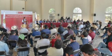 IMPULSARÁN DIPUTADOS EL MERCADO DEL MAGUEY