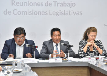 Analizan que estacionamientos respondan por daños a vehículos