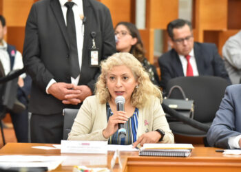 CRITÍCAN LEGISLADORES ACCIONES CONTRA LA TALA Y LA CONTAMINACIÓN