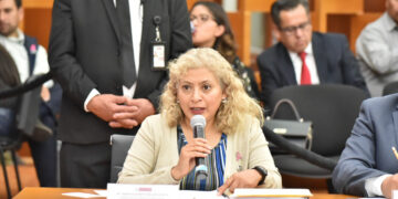 CRITÍCAN LEGISLADORES ACCIONES CONTRA LA TALA Y LA CONTAMINACIÓN