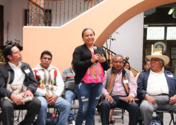 QUINTA SESIÓN DEL SEMINARIO PERMANENTE DE DERECHOS INDÍGENAS