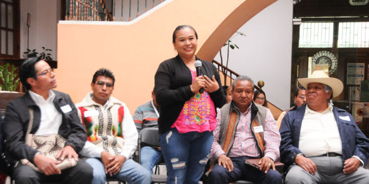 QUINTA SESIÓN DEL SEMINARIO PERMANENTE DE DERECHOS INDÍGENAS