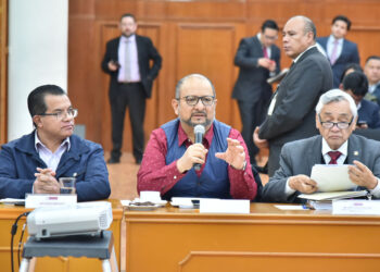 DESCONFÍAN DIPUTADOS DE MORENA Y PT DE PROYECTO APP PARA CAMINOS DEL SUR