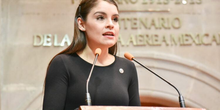 Llama diputada a impulsar inversiones para lograr la cobertura sanitaria universal