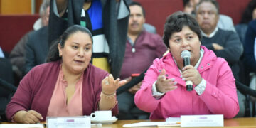 Ciudadanos y legisladores vigilarán proyecto carretero del sur