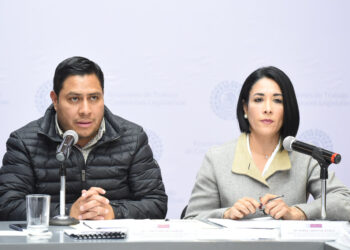 APRUEBAN CONVOCATORIA PARA ELEGIR A TITULAR DEL OSFEM