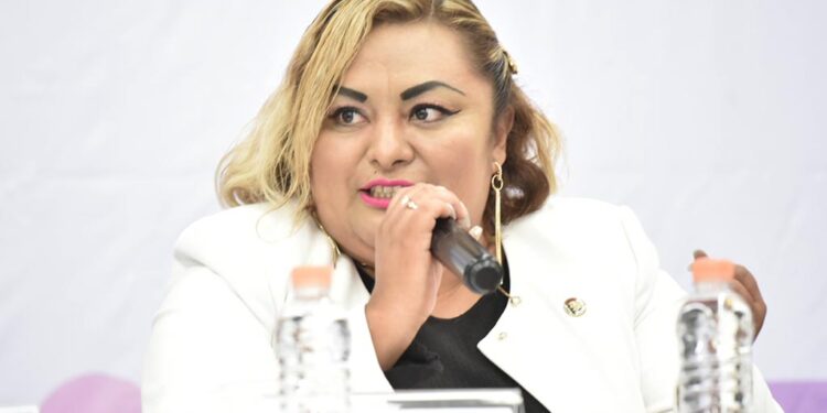 PROPONE DIPUTADA INCLUIR A LA CONTRALORÍA SOCIAL EN LA LEY DE PARTICIPACIÓN CIUDADANA