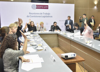 AVALAN COMISIONES INCORPORAR EL CONCEPTO DE MALTRATO INFANTIL A LA LEGISLACIÓN ESTATAL