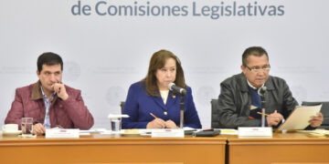 CÓNYUGES Y CONCUBINOS HOMBRES TENDRÍAN DERECHO A PENSIÓN ALIMENTICIA