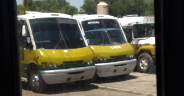  A partir del jueves 7 de mayo reactivarán el #Potrobús para estudiantes del área de la salud