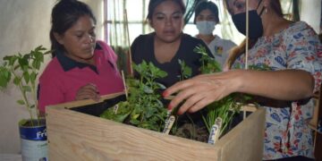 Entregan huertos de traspatio en Chalco
