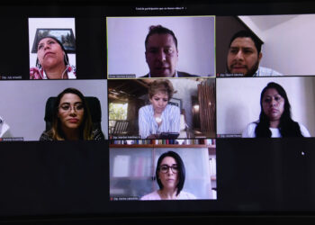 Eligen a órgano ciudadano mediante videoconferencia