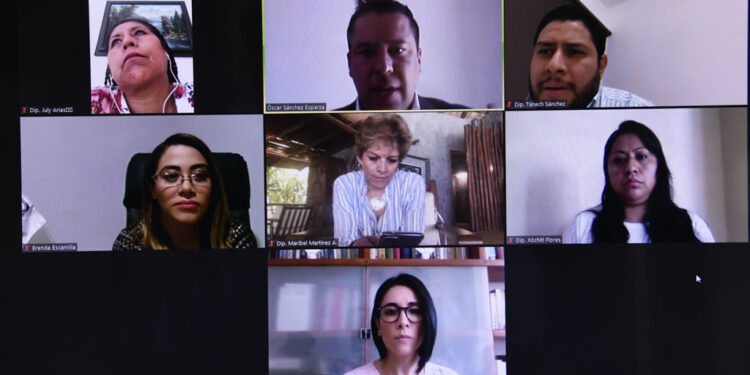 Eligen a órgano ciudadano mediante videoconferencia