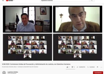 En análisis, la figura de falso culpable en la ley de amnistía