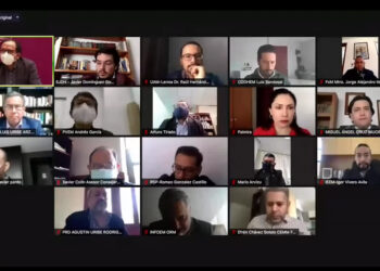 Participación amplia y plural en la renovación de la Constitución: Mauricio Valdés