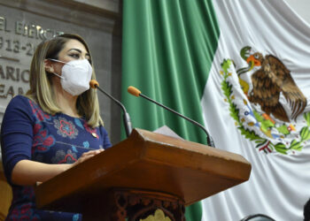 Plantean la creación de una fiscalía especializada en delitos ambientales