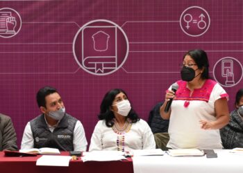 Ayuntamientos se resisten a crear direcciones de asuntos indígenas: Juliana Arias