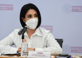 Comisión para Alerta de Violencia de Género debe ser permanente: Karina Labastida