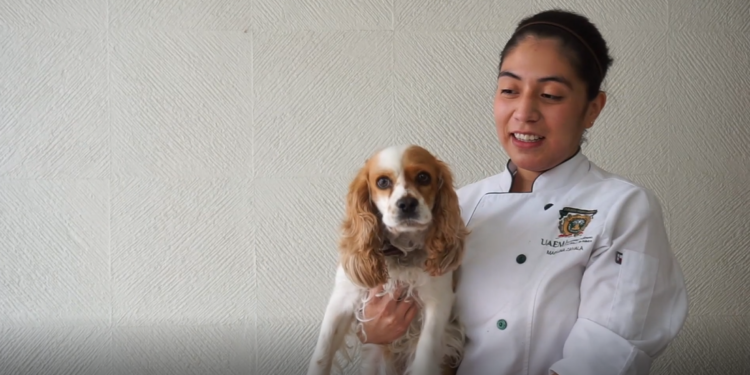 Universitaria creó “Truffa” para perros