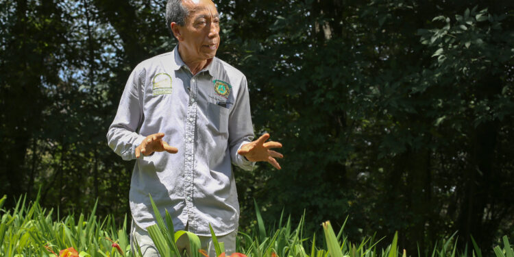 Invitan a la Semana de las Tigridias en CU UAEM Tenancingo