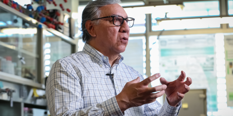 Desarrollo de energías limpias, uno de los retos para la química actual