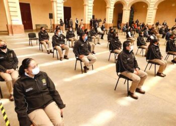 Seguridad institucional