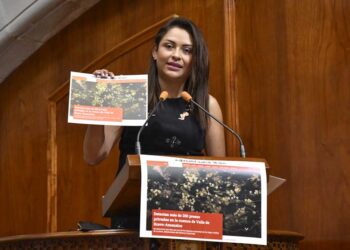 Solicita el Congreso información sobre lagos privados en Valle de Bravo