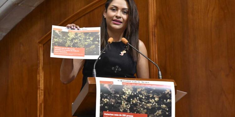 Solicita el Congreso información sobre lagos privados en Valle de Bravo