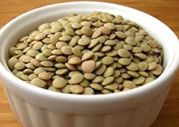 Diseñan en UAEM irradiador de campo electromagnético de semillas