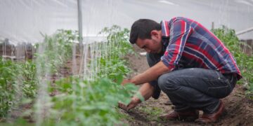 Alianzas estratégicas para fortalecer el sector agrícola
