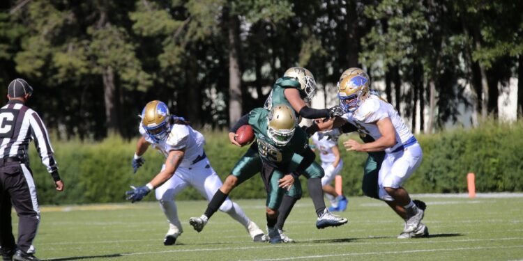 Potros Salvajes UAEM caen 45 a 0 frente a los Auténticos Tigres de la UANL