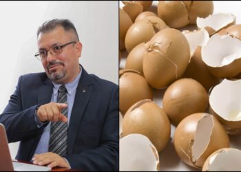 Cascarones de huevo y conchas de caracol con aplicaciones biomédicas