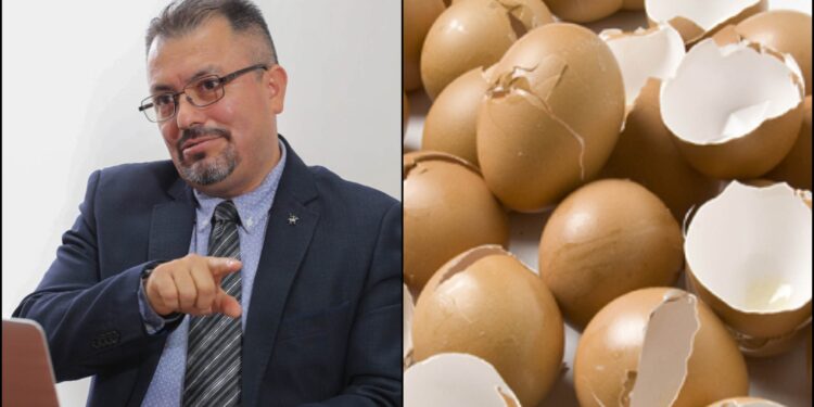 Cascarones de huevo y conchas de caracol con aplicaciones biomédicas