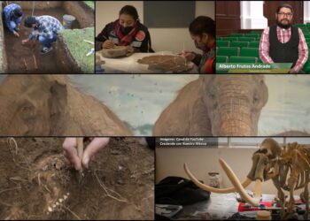 Talento UAEM en la construcción del Museo del Mamut