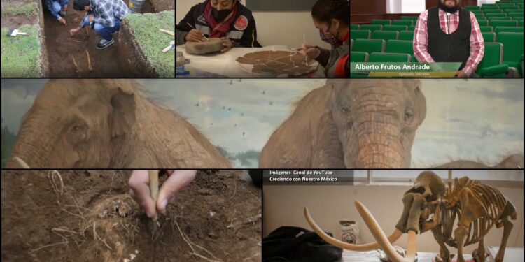 Talento UAEM en la construcción del Museo del Mamut