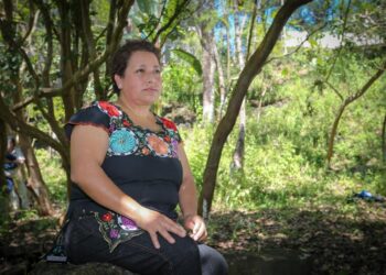 Francisca Avilés Nova