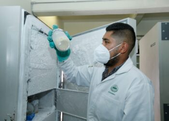 Posgrado en Ciencias