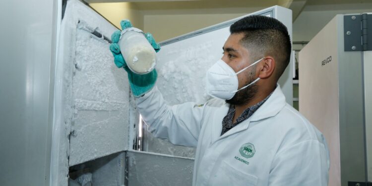 Posgrado en Ciencias