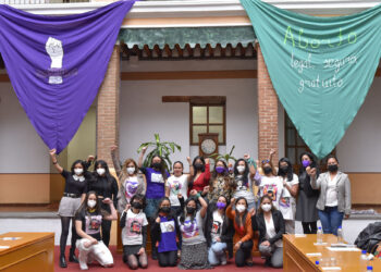 perspectiva de género la agenda legislativa estatal