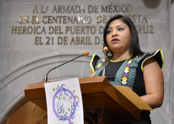 feminicidios y violencia