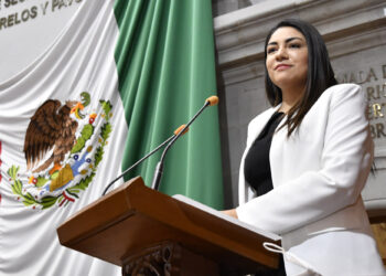 Ley de Apoyo y Atención