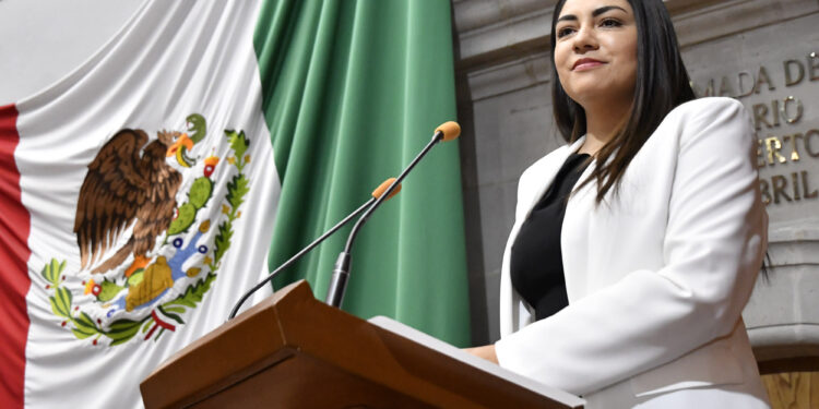 Ley de Apoyo y Atención